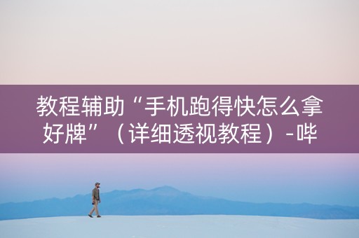 教程辅助“手机跑得快怎么拿好牌”（详细透视教程）-哔哩哔哩
