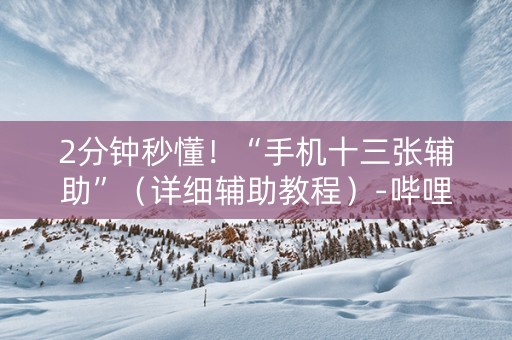 2分钟秒懂！“手机十三张辅助”（详细辅助教程）-哔哩哔哩