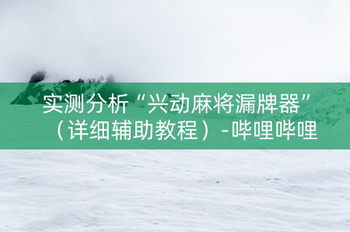 实测分析“兴动麻将漏牌器”（详细辅助教程）-哔哩哔哩