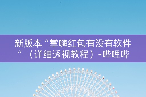 新版本“掌嗨红包有没有软件”（详细透视教程）-哔哩哔哩