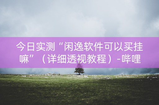 今日实测“闲逸软件可以买挂嘛”（详细透视教程）-哔哩哔哩