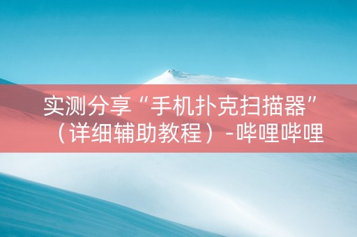 实测分享“手机扑克扫描器”（详细辅助教程）-哔哩哔哩