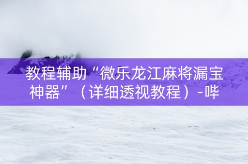 教程辅助“微乐龙江麻将漏宝神器”（详细透视教程）-哔哩哔哩