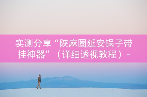 实测分享“陕麻圈延安锅子带挂神器”（详细透视教程）-哔哩哔哩