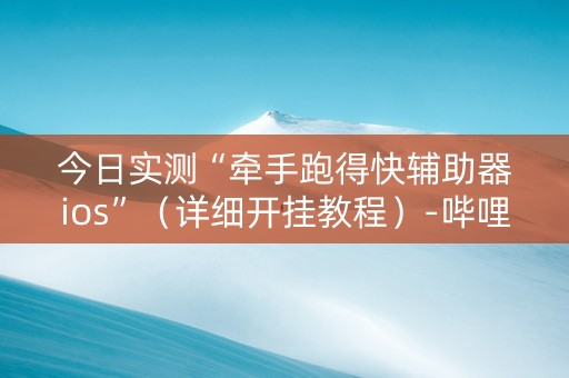 今日实测“牵手跑得快辅助器ios”（详细开挂教程）-哔哩哔哩