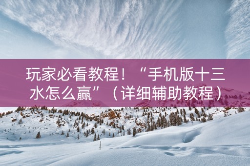 玩家必看教程！“手机版十三水怎么赢”（详细辅助教程）-哔哩哔哩