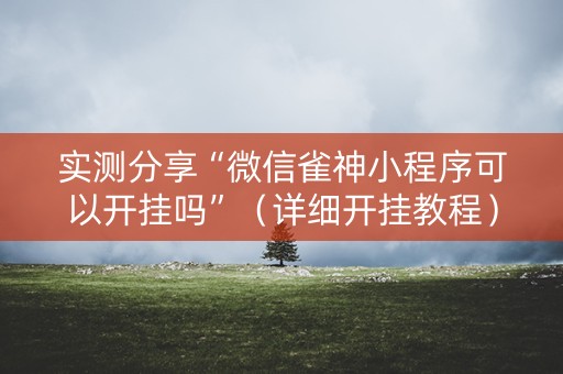实测分享“微信雀神小程序可以开挂吗”（详细开挂教程）-哔哩哔哩