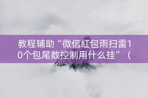 教程辅助“微信红包雨扫雷10个包尾数控制用什么挂”（详细透视教程）-哔哩哔哩