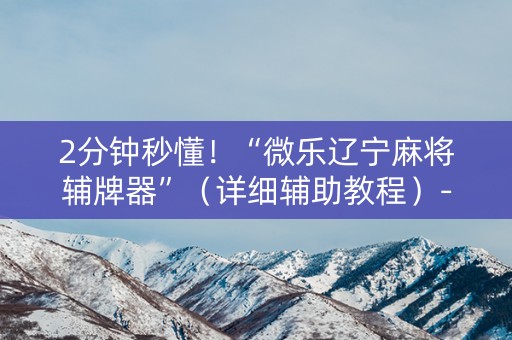 2分钟秒懂！“微乐辽宁麻将辅牌器”（详细辅助教程）-哔哩哔哩