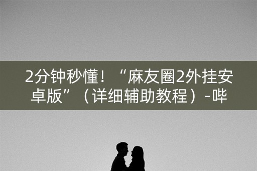 2分钟秒懂！“麻友圈2外挂安卓版”（详细辅助教程）-哔哩哔哩