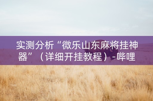 实测分析“微乐山东麻将挂神器”（详细开挂教程）-哔哩哔哩