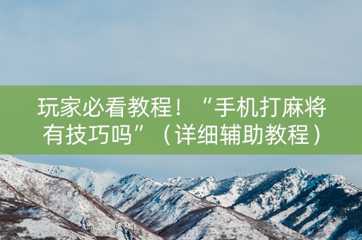 玩家必看教程！“手机打麻将有技巧吗”（详细辅助教程）-哔哩哔哩