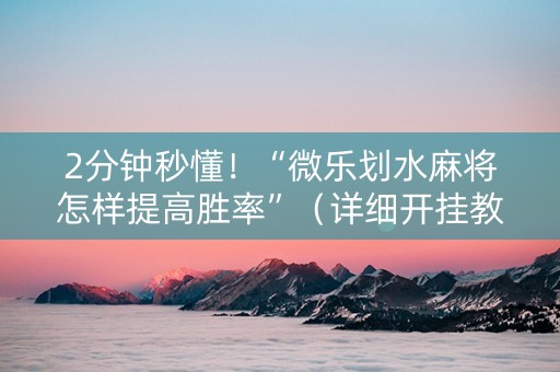 2分钟秒懂！“微乐划水麻将怎样提高胜率”（详细开挂教程）-哔哩哔哩