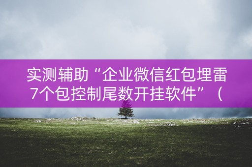 实测辅助“企业微信红包埋雷7个包控制尾数开挂软件”（详细透视教程）-哔哩哔哩