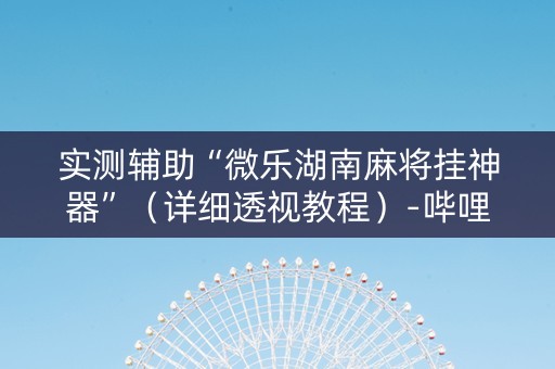 实测辅助“微乐湖南麻将挂神器”（详细透视教程）-哔哩哔哩