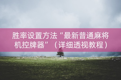 胜率设置方法“最新普通麻将机控牌器”（详细透视教程）-哔哩哔哩