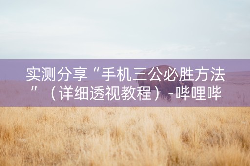 实测分享“手机三公必胜方法”（详细透视教程）-哔哩哔哩