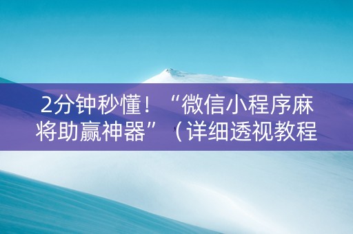 2分钟秒懂！“微信小程序麻将助赢神器”（详细透视教程）-哔哩哔哩
