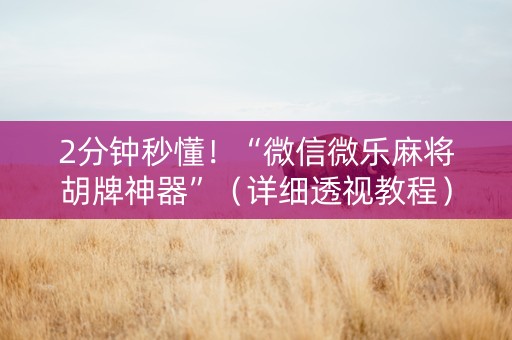 2分钟秒懂！“微信微乐麻将胡牌神器”（详细透视教程）-哔哩哔哩