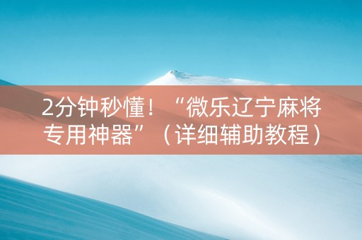 2分钟秒懂！“微乐辽宁麻将专用神器”（详细辅助教程）-哔哩哔哩