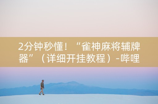 2分钟秒懂！“雀神麻将辅牌器”（详细开挂教程）-哔哩哔哩