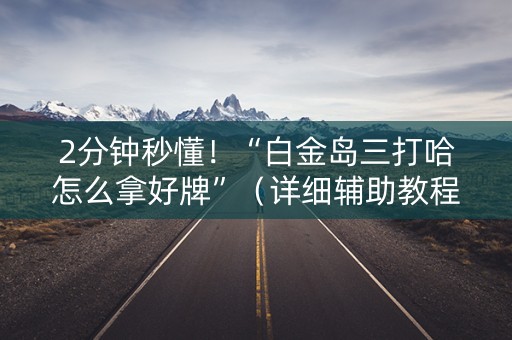 2分钟秒懂！“白金岛三打哈怎么拿好牌”（详细辅助教程）-哔哩哔哩