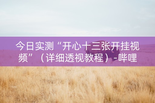 今日实测“开心十三张开挂视频”（详细透视教程）-哔哩哔哩