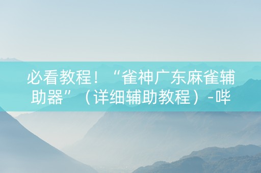 必看教程！“雀神广东麻雀辅助器”（详细辅助教程）-哔哩哔哩