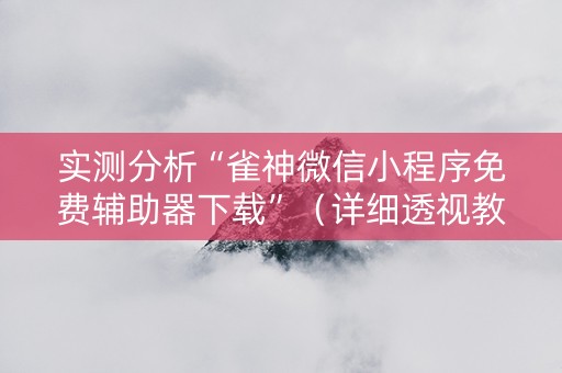 实测分析“雀神微信小程序免费辅助器下载”（详细透视教程）-哔哩哔哩