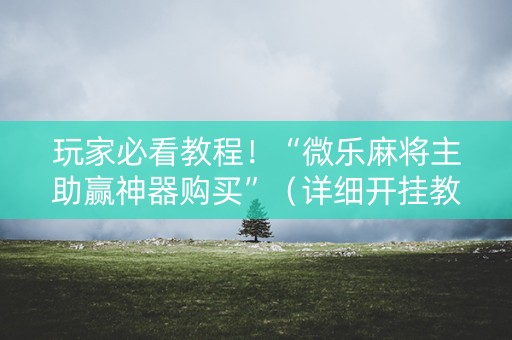 玩家必看教程！“微乐麻将主助赢神器购买”（详细开挂教程）-哔哩哔哩