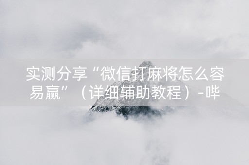 实测分享“微信打麻将怎么容易赢”（详细辅助教程）-哔哩哔哩
