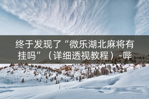 终于发现了“微乐湖北麻将有挂吗”（详细透视教程）-哔哩哔哩