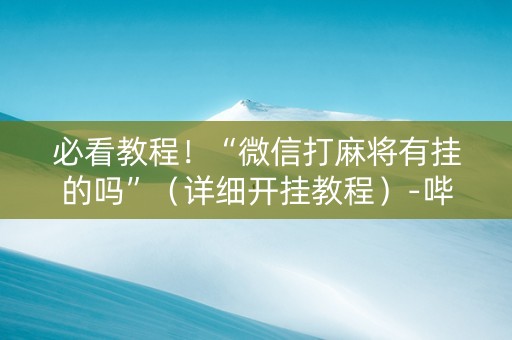 必看教程！“微信打麻将有挂的吗”（详细开挂教程）-哔哩哔哩