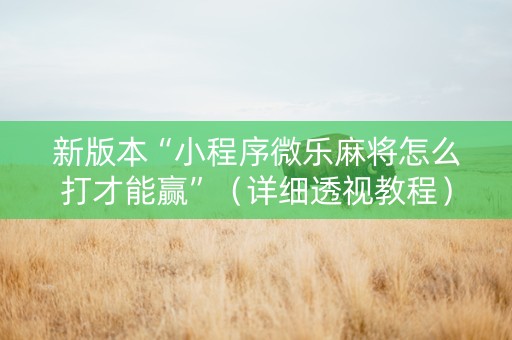 新版本“小程序微乐麻将怎么打才能赢”（详细透视教程）-哔哩哔哩