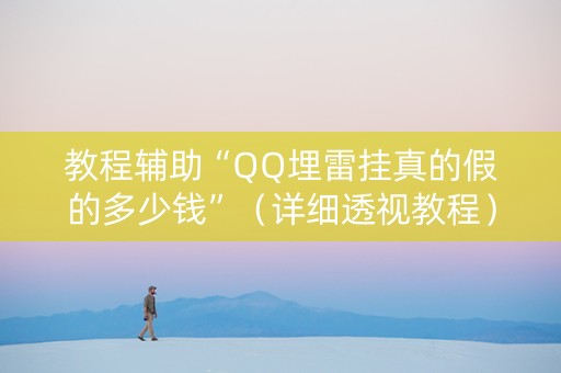 教程辅助“QQ埋雷挂真的假的多少钱”（详细透视教程）-哔哩哔哩