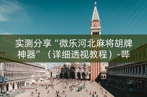 实测分享“微乐河北麻将胡牌神器”（详细透视教程）-哔哩哔哩