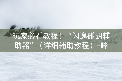 玩家必看教程！“闲逸碰胡辅助器”（详细辅助教程）-哔哩哔哩