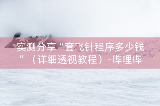 实测分享“套飞针程序多少钱”（详细透视教程）-哔哩哔哩