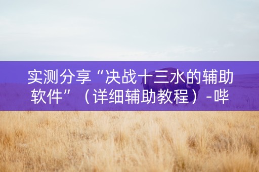 实测分享“决战十三水的辅助软件”（详细辅助教程）-哔哩哔哩