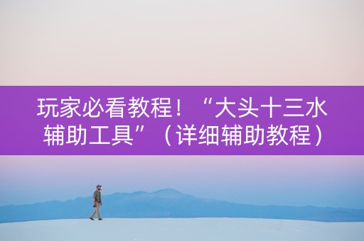 玩家必看教程！“大头十三水辅助工具”（详细辅助教程）-哔哩哔哩