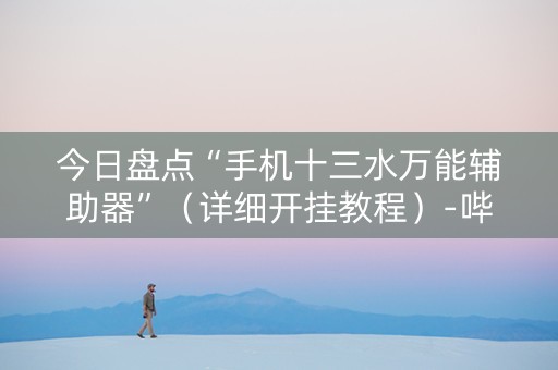 今日盘点“手机十三水万能辅助器”（详细开挂教程）-哔哩哔哩