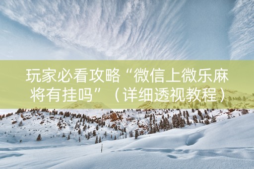 玩家必看攻略“微信上微乐麻将有挂吗”（详细透视教程）-哔哩哔哩