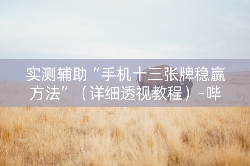 实测辅助“手机十三张牌稳赢方法”（详细透视教程）-哔哩哔哩