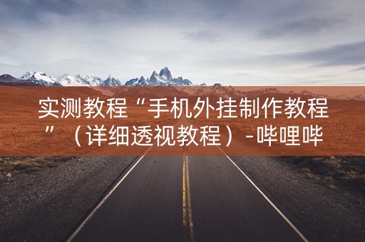 实测教程“手机外挂制作教程”（详细透视教程）-哔哩哔哩