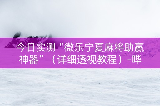 今日实测“微乐宁夏麻将助赢神器”（详细透视教程）-哔哩哔哩