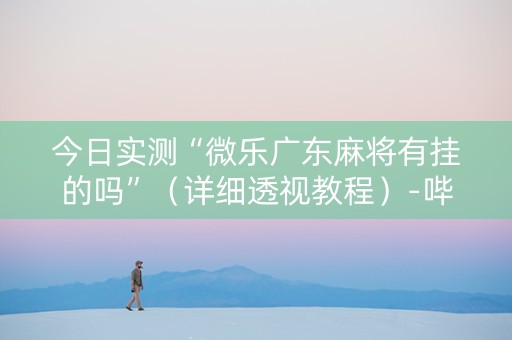 今日实测“微乐广东麻将有挂的吗”（详细透视教程）-哔哩哔哩