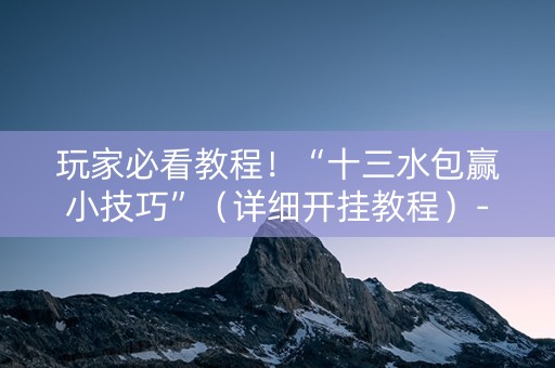 玩家必看教程！“十三水包赢小技巧”（详细开挂教程）-哔哩哔哩