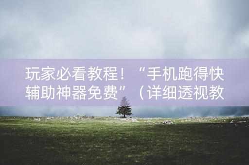 玩家必看教程！“手机跑得快辅助神器免费”（详细透视教程）-哔哩哔哩