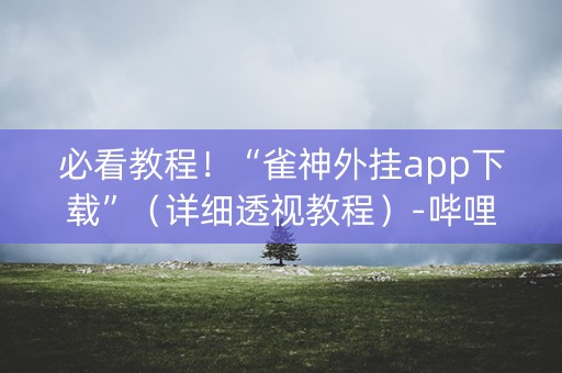 必看教程！“雀神外挂app下载”（详细透视教程）-哔哩哔哩
