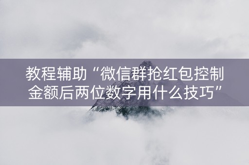 教程辅助“微信群抢红包控制金额后两位数字用什么技巧”（详细透视教程）-哔哩哔哩